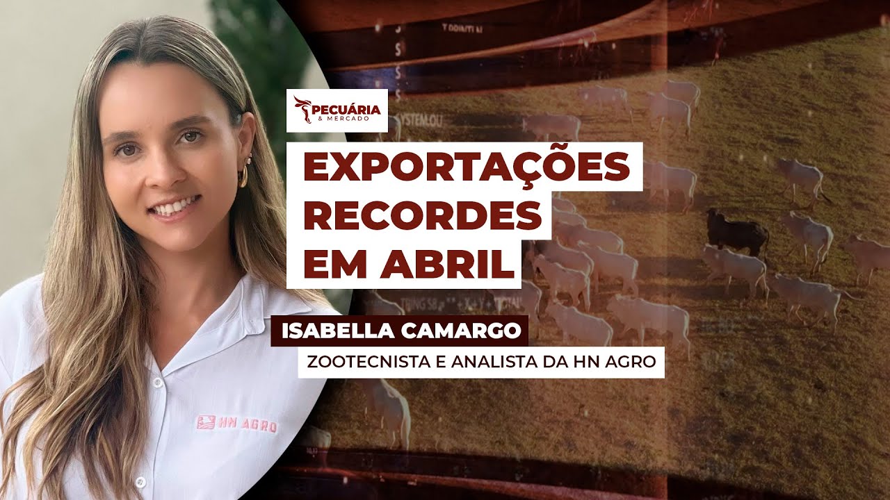 Volume parcial de carne bovina exportada em abril/25 já supera o total embarcado no ano anterior