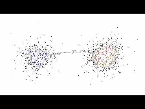 Intercellular Transport in the Movable Feast Machine