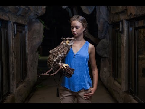 Night at The Zoo