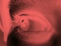 Mathew Jonson_Decompression EP Minus rec.24a ... Mathew Jonson Decompression EP 