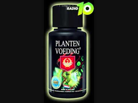 Tip 3 door Bloemenhuis Linz. Commercial House & Garden Plantenvoeding Radio 10
