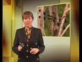 Les Fossiles Refutent La Theorie De L\ Les Fossiles Refutent La Theorie De L\
