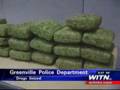 Greenville Drug Bust Nets 100 Pounds of Pot - WITN