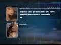 Greenpeace News - Dinossauros