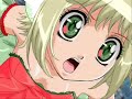 Mew Poinsettia