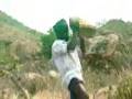 Arunachala Greening