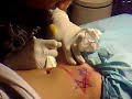 my tatOO ^^ part One ^^