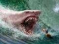 monster-sharks