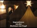 Sternenengel. Star Angel. Werkstatt der Engel-Impressionen.