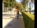 videos de Tránsito