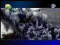 کنسرواتوار تهران رسول رحمت میثم معافی