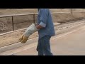 Red Fox Removal Relocation2 02 24 2009