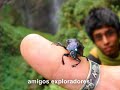 Adventurer4ever GAP,Gocta,Amazonas,Peru,Raul Soto Linck