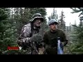 Moose Charge