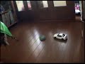 Mini-Z AWD Drift training