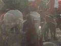 Guarda video