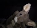 Chop Suey starring Mr Hoppy and B1 Chop Suey starring Mr Hoppy and B1