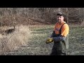 Beavers in the City, Part 2 - Leave It to Beavers - by Suburban Wildlife Control