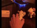 Asteio Gay Video by Caj