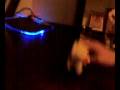 Asteio Gay Video by Caj