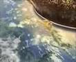 Colision de Meteorito