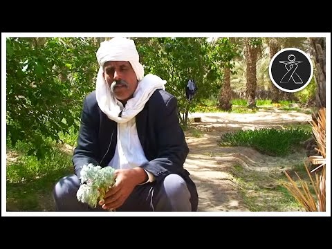 Voir la vidéo