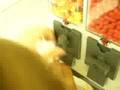 videos de Candy Dispenser Takes A Dollar! WOW!!!