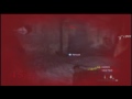 Zombies Level 45 (Glitch UnPatched)