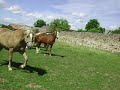 Defoulage Defoulage