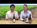 Wine Week 101: Back to the bargains. Wine Week 101: Back to the bargains.