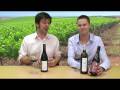 Wine Week 100: Back to the bargains. - v2