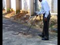 stephen sir catching