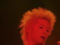 siam-shade.html
