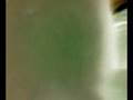 videos de Negative Trampoline