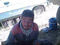 vanda bu?day biçimi vanda bu?day biçimi