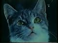 h�ll polisen utanf�r - intro (1969)
