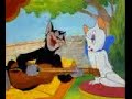 Kemençe calan Kedi Kürtce Kamança Halay Horon Komik