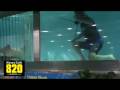 Dan York Swims With Sharks @ The Florida State Fair