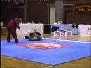 Kranj Open Grappling Match Kranj Open Grappling Match