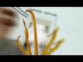 Crazy Town - Hewlett Packard - www.hp.com/setITfree