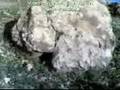parkour tadla wlad l3az
