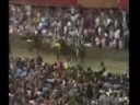 il Palio ( a Galopar ) il Palio ( a Galopar )