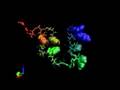 Protein Folding 2- Simbios