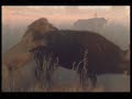 Lion swim and chase Buffalo