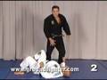 Saulo Ribeiro, Brazilian Jiu-Jitsu Revolution 2, The X-Pass