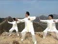 Ba Duan Jin Complete Demonstration 1 - free flv video @ vwatch.tv