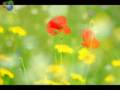Manifesting What You Want - Pt 1 - Wayne Dyer & Deepak Chopra