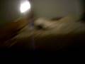 videos de apll-alsace2008