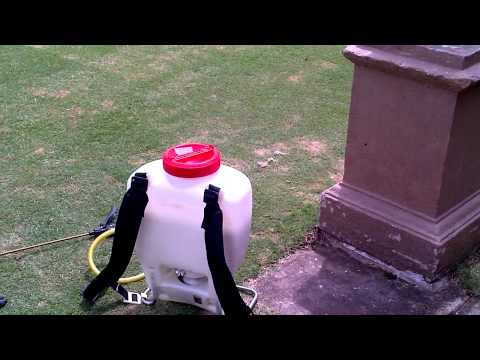 how to patch bermuda grass