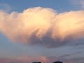 Horse Cloud